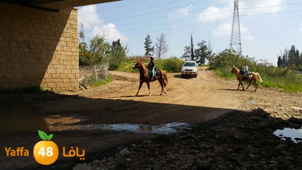 roben tabee3ar (29).JPG